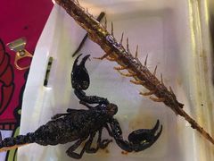 -东门町美食街