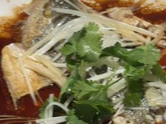 -青雅中餐厅(大连金石滩绿发希尔顿度假酒店)