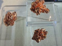 -中国地质博物馆