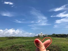-涉地可支