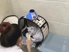 -仁华宠物医院(青羊店)