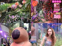 -正佳雨林生态植物园