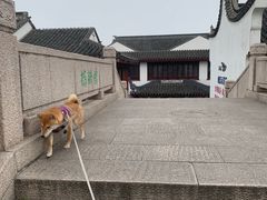 -召稼楼古镇