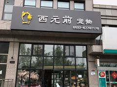 -西元前宠物酒店(郑庄府邸店)