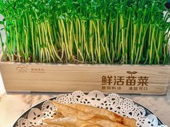 -捞神煲汤火锅(湖滨商业街店)