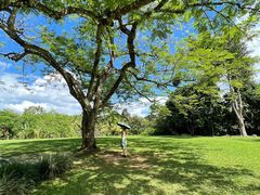 -中国科学院西双版纳热带植物园