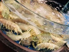 -陶陶居海鲜酒家(新马路店)