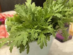 茼蒿-东来顺饭庄(天坛店)