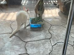 -宁波野生动物园
