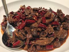 鸽子鸽杂拼-三强鸽子(中原路店)