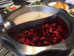鸳鸯锅-重庆大队长火锅(凤城八路店)