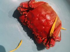 -上宴精品海鲜姿造(晶融汇旗舰店)