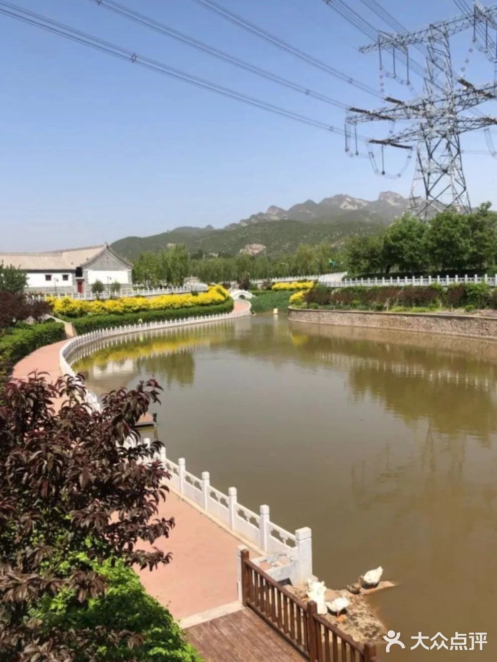 打卡绿野仙踪郊野乐园[胜利]