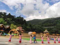 -西双版纳原始森林公园