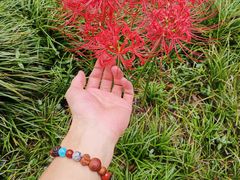 -幕燕滨江·燕子矶公园