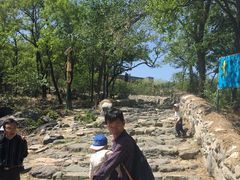 -阳台山自然风景区