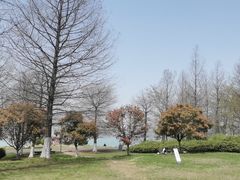 -苏州湾体育公园