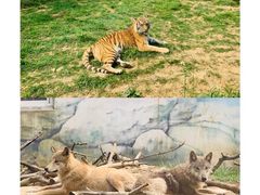 -无锡动物园·太湖欢乐园