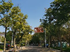 -秋霞圃