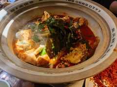 千岛湖有机胖头鱼-魏铭鱼头捞饭(晋阳路店)