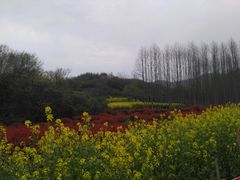 -石塘人家