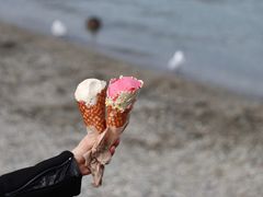 -Patagonia Chocolates(皇后镇店)