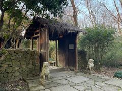 -西溪国家湿地公园