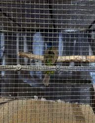 -酷嗒动物文化乐园(cutezoo西溪乐天城店)