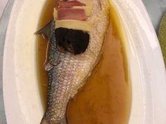 鲥鱼-龙汇酒家(沪闵路店)