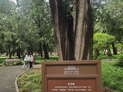 -北京市劳动人民文化宫(太庙)