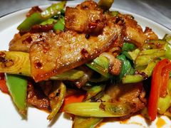 传统回锅肉-雲蜀龙阁·金牌水煮鱼(方庄店)