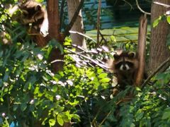 -北京鹿世界主题园