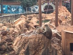 -昆明动物园