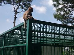 -宁波九龙湖开元度假村
