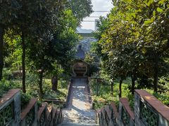 -广州神农草堂中医药博物馆