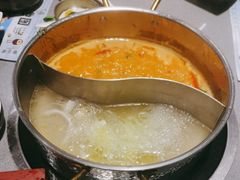 -椰小鸡·琼州糟粕醋·火锅(美兰缤纷城店)