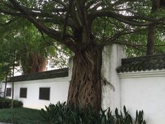 -墨池公园