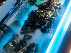 -星海汇海鲜烤肉火锅自助(二七广场百年德化店)