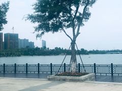 -桐乡凤凰湖