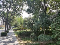 -唐城墙遗址公园
