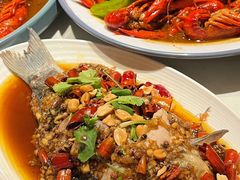 -杨氏青龙虾·羊蝎子(托乐嘉店)