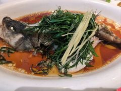 -粤香楼(新光里店)
