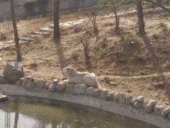 -石家庄市动物园