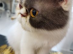 -平行世界·猫咖(首经贸店)