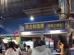 -杨合林啊兰烤鱼