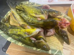 -铭记蛙小仙·活蛙畅享(CBD万达广场店)