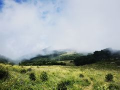 -白草畔自然风景区