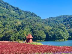 -广州市石门国家森林公园