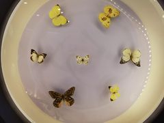 -下渚湖国家湿地公园科普馆