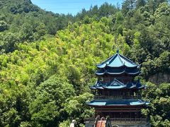 -芦茨金富饭庄·25年老字号·专做稻草鸡